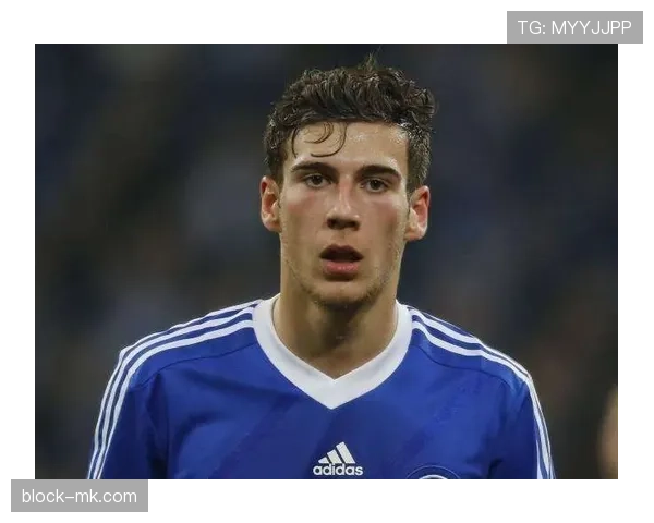 沙尔克中场组织能力获赞，战术调整助推球队稳步提升