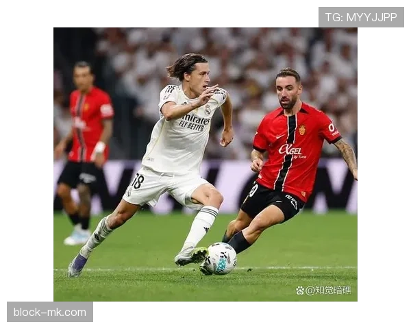 德甲夏窗新星闪耀老将告别，转会市场精彩纷呈