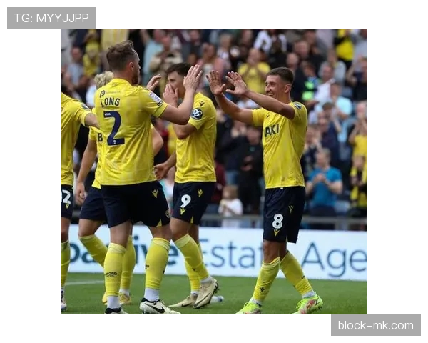 桑德兰球迷持续支持球队,主场氛围助力表现稳健 桑德兰球迷持续支持球队,主场氛围助力表现稳健