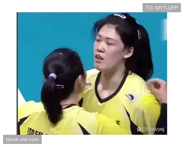 朱婷家的猫都比我会挑沙发